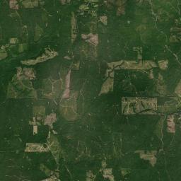 Morgan Springs Alabama map(satellite map)