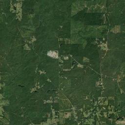 Buyck Alabama map(satellite map)