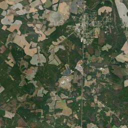 Estill Satellite Map