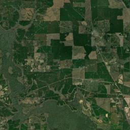 Highway 143, Farmerville, LA 71241, USA Satellite Map