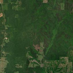 Panhandle Alabama map(satellite map)