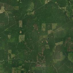 Payneville Alabama map(satellite map)