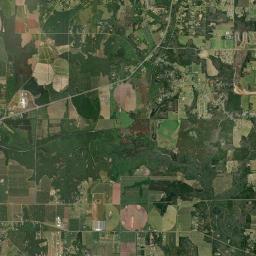 Peach County Satellite Map