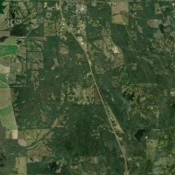 Flora Satellite Map