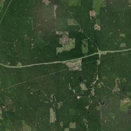 Standard Alabama map(satellite map)