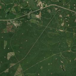 Bellamy Alabama map(satellite map)