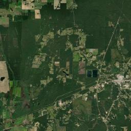 Morton Satellite Map