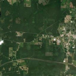 Forest Satellite Map