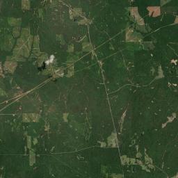 Gaston Alabama map(satellite map)