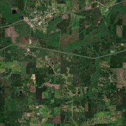 Pelahatchie Satellite Map