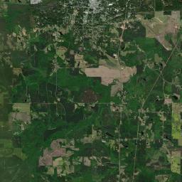 Newton Satellite Map