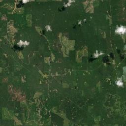 Pelham Alabama map(satellite map)