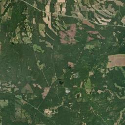 Polk Alabama map(satellite map)