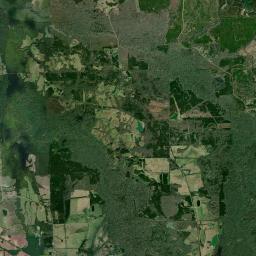 Chesson Alabama map(satellite map)