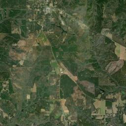 Buena Vista Satellite Map