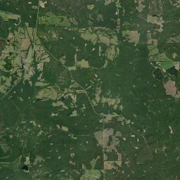 Kings Alabama map(satellite map)