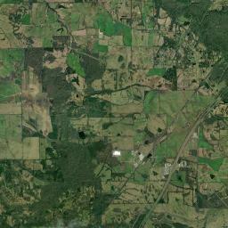 Tyson Alabama map(satellite map)
