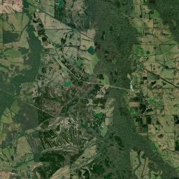 Mitchell Alabama map(satellite map)