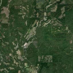 Pittsview Alabama map(satellite map)