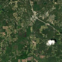Florence Satellite Map