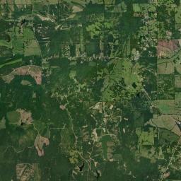 Moss Alabama map(satellite map)