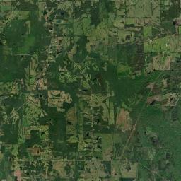Pine Needles Alabama map(satellite map)