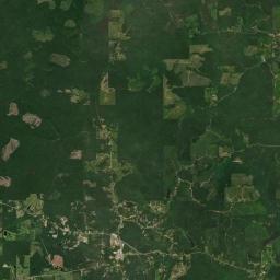 Raleigh Satellite Map