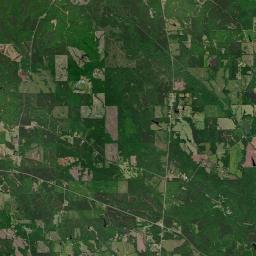 Vineland Alabama map(satellite map)