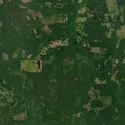 Lum Alabama map(satellite map)