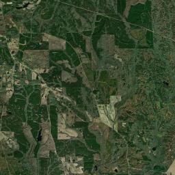 Ox Level Alabama map(satellite map)