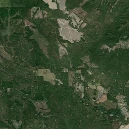 Mount Gilead Alabama map(satellite map)