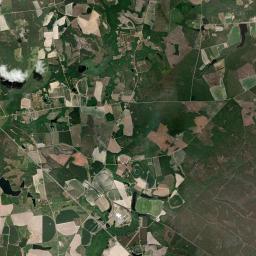 Tattnall County Satellite Map