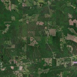 Sunny South Alabama map(satellite map)