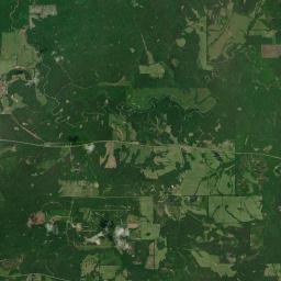 Darlington Alabama map(satellite map)
