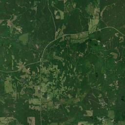McBrydes Alabama map(satellite map)