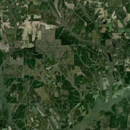 Saco Alabama map(satellite map)