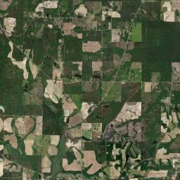 Wilcox County Satellite Map