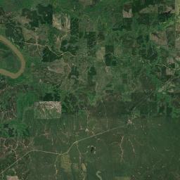 Woods Bluff Alabama map(satellite map)
