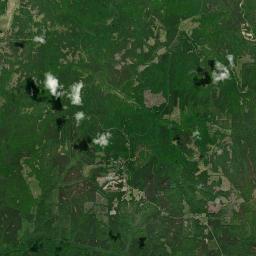 Ridgeville Alabama map(satellite map)