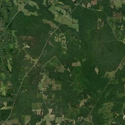 Daisy Alabama map(satellite map)