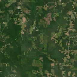 Danielsville Alabama map(satellite map)