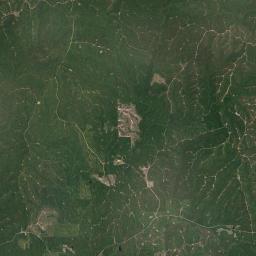 McEntyre Alabama map(satellite map)
