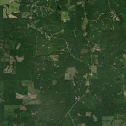 Pine Apple Alabama map(satellite map)