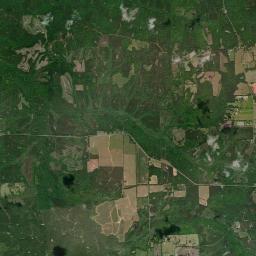 Forest Home Alabama map(satellite map)