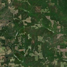 Live Oak Alabama map(satellite map)