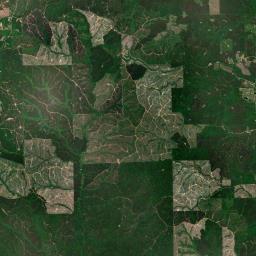 Nettleboro Alabama map(satellite map)