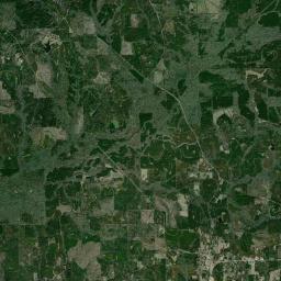 Buena Vista Alabama map(satellite map)