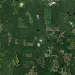 Butler Springs Alabama map(satellite map)