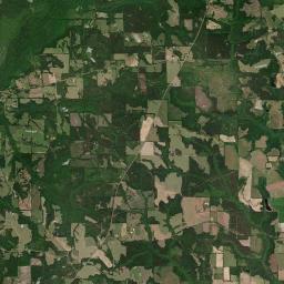 Vidette Alabama map(satellite map)