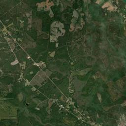 Long County Satellite Map